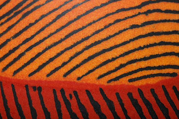 preview_Pip_20201111_9723
