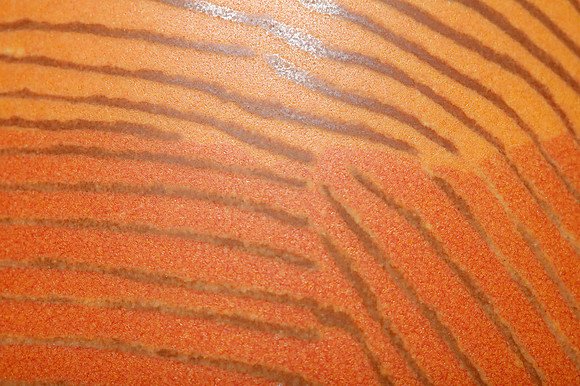 preview_Pip_20201111_9680