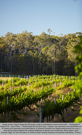 SiVintners20140119_9470 copy