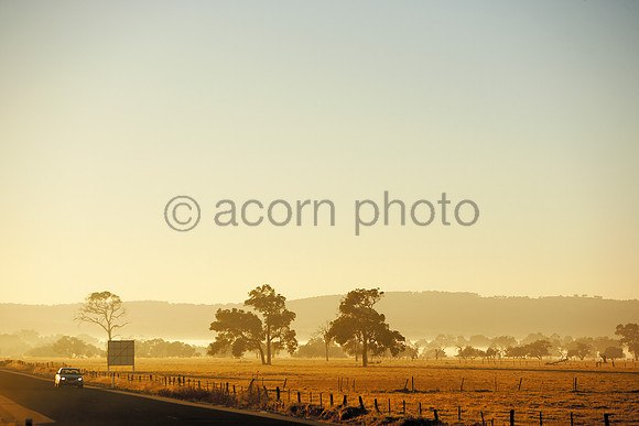 NearNorth060427_008823