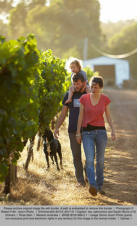 SiVintners20140119_9317