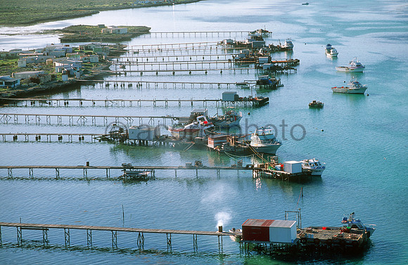 AcornStock060512_003