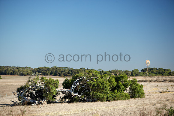 NearNorth060427_009143