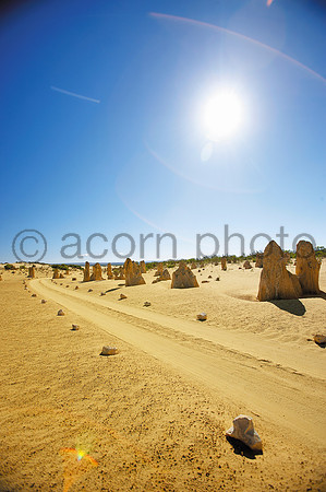 NearNorth060427_008836
