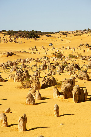 NearNorth060427_008826